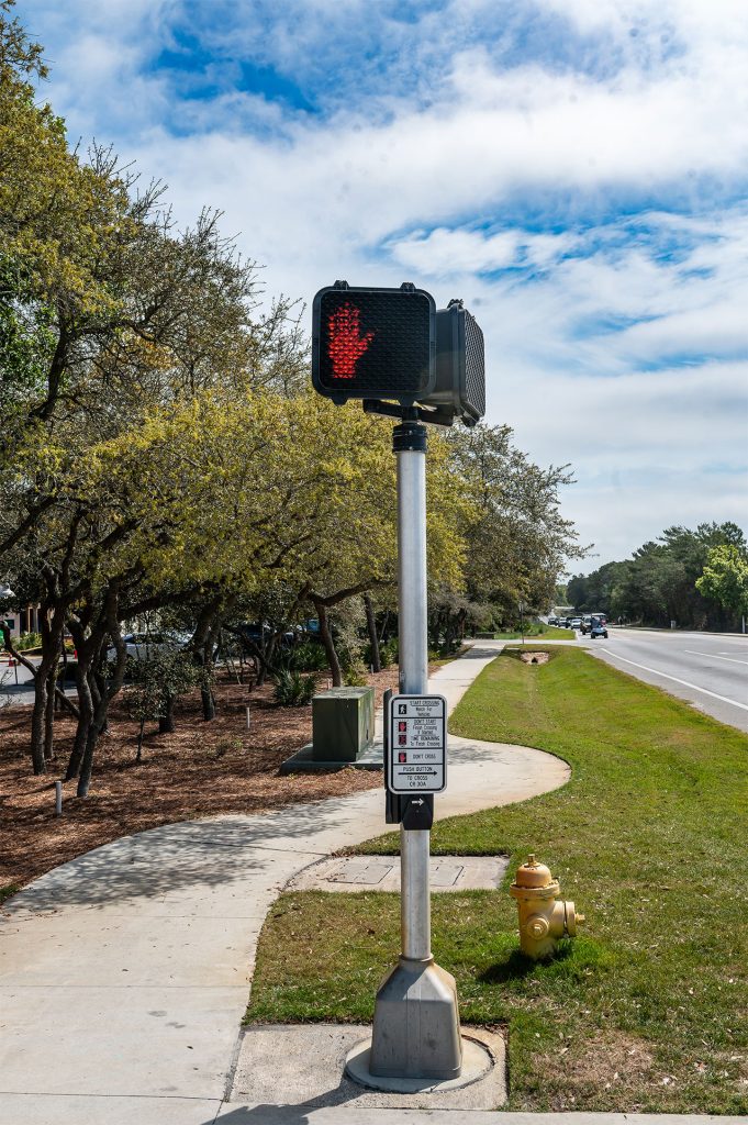 pedestrian pole 2